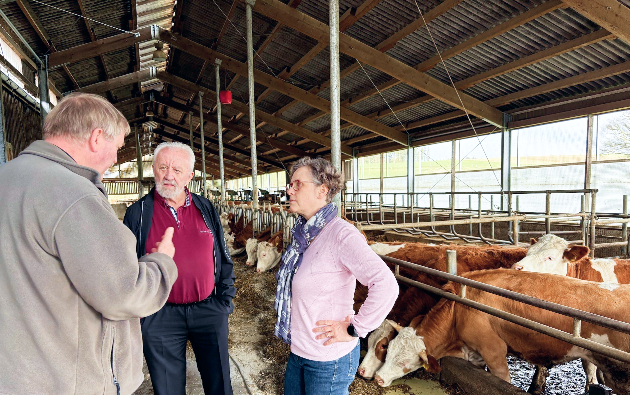 Rechtsanwälte auf Bauernhof